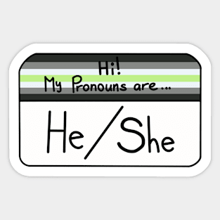 Hi my pronouns are - he she - agender pride Sticker